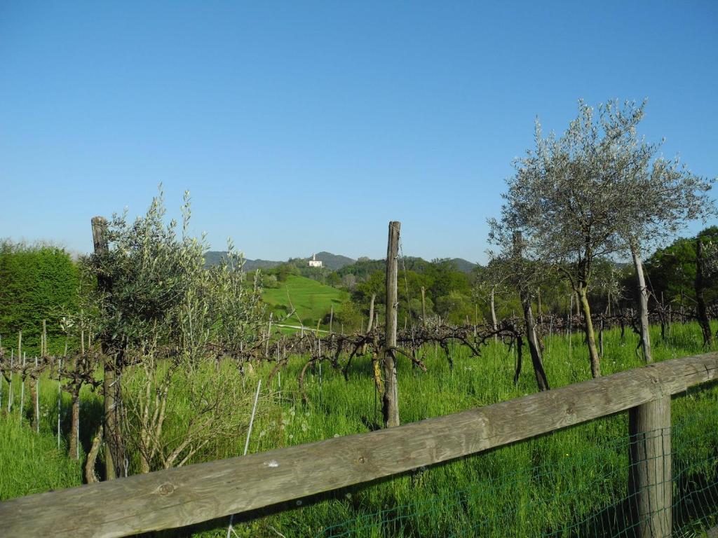 הוילה Castelcucco Agriturismo Cornolere מראה חיצוני תמונה