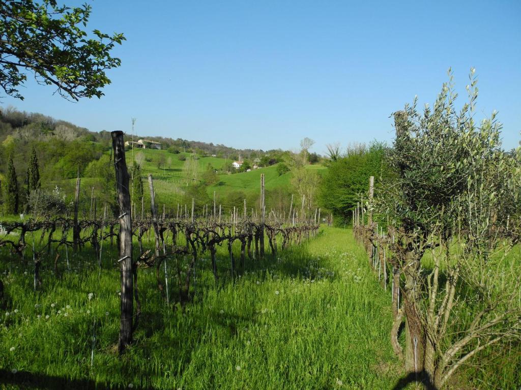 הוילה Castelcucco Agriturismo Cornolere מראה חיצוני תמונה